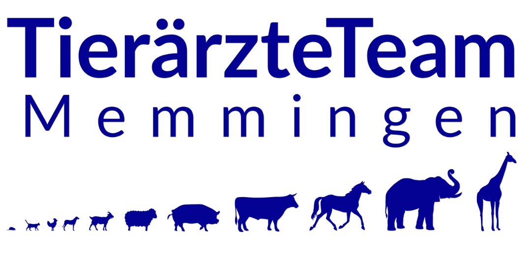 TierärzteTeam Memmingen