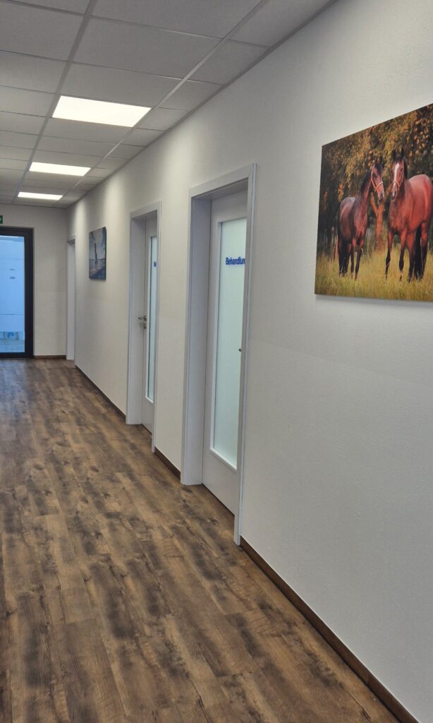 Praxis - Gang Gang in einer Tierarztpraxis. An der Wand Hängen Bilder mit Pferden, die Türen sind aus mattem Glas und beschriftet mit blauen Schriftzügen.