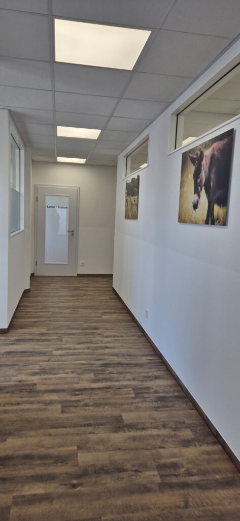 Praxis - Flur Bild des Flurs einer Tierarztpraxis mit Holzfußboden und weißen Wänden.