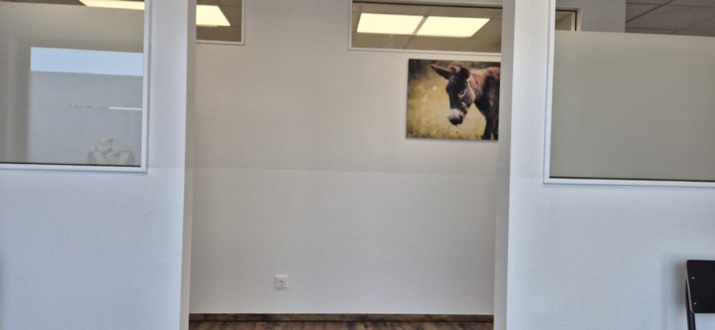 Wartezimmer Ausblick aus dem Wartezimmer der Tierarztpraxis mit einem Eselbild an der Wand.